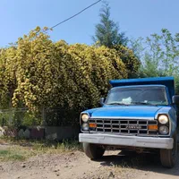 مصالح ساختمانی برادران باباخانی