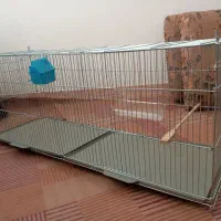 قفس بزرگ پرنده نو نو