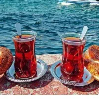 66تور مشهد    تور مشهد.         تور مشهد