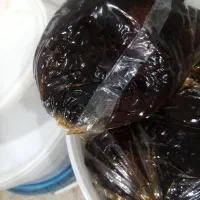 خرمای کبکاب بسته بندی شده شیره زده درجه یک