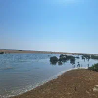 تور جزیره گردی|تور و چارتر|قشم, |دیوار