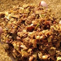 فروش تفاله سیب