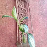 مکرومه|صنایع دستی و سایر لوازم تزئینی|اهواز, کوی باهنر|دیوار