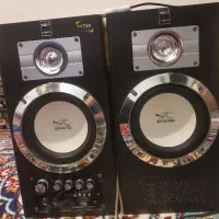 2 عدد اسپیکر خانگی