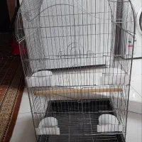 قفس پرنده