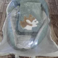 پتو واغوش فرنگی