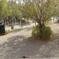 بهیکنفراقاجهتکافهبیلیاردنیازمندیم|استخدام خدمات فروشگاه و رستوران|تهران, ولنجک|دیوار