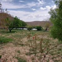 زمین