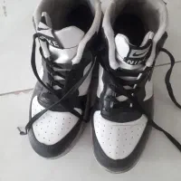 کفش سایز ۳۷