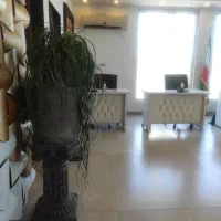 کارمند خانم با فن بیان قوی
