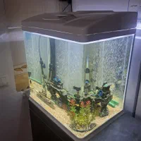 آکواریم شیشه خم