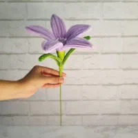 گل های دست ساز سیلوانا|گل و گیاه طبیعی|تهران, منیریه|دیوار