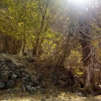 مدارک علیرضا ذوالقرنین پیدا شده