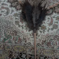 گردگیر پر شتر مرغ