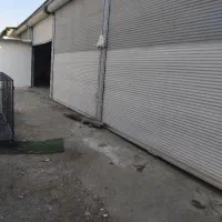 اجاره دوباب مغازه