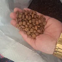 دانه قهوه ۱۰۰ عربیکا کلمبیا