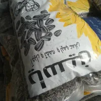 تخمه کانادایی طعم دار عمده