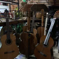 فروش و آموزش گیتار(ًچکی و نقدی)|گیتار، بیس، امپلیفایر|قدس, شهر‌قدس|دیوار