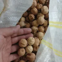 تخمه دورنگ کشمش ذرت ماش بادام زمینی|خوردنی و آشامیدنی|بروجرد, |دیوار