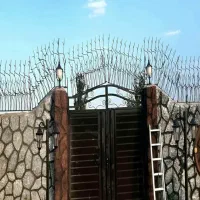 تاییدیه نیروی انتظامی.شاخ گوزنی.دستگیری سارق
