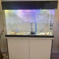 آکواریوم‌شیشه خم 120/40/80cm