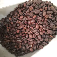 پخش قهوه نقدی به قیمت رستری|عمده‌فروشی|اصفهان, جوزدان الیادران|دیوار