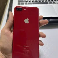 8plus 256|موبایل|رشت, معلم|دیوار