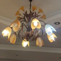 لوستر ۸ شاخه و ۳ شاخه|لوستر و چراغ آویز|رشت, کاکتوس|دیوار