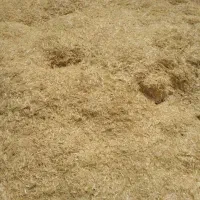 کاه گندم فروش فوری زیر قیمت