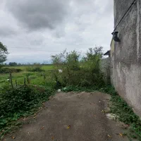 زمین ۲۱۴ متر مسکونی فروش فوری (شکاری) احمدگوراب|فروش زمین و ملک کلنگی|رشت, احمد گوراب|دیوار