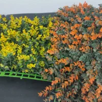 گرینوال ۲۶ عدد