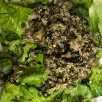 جوجه حلزون آچاتینا