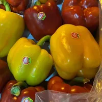 تره بار(صیفیجات )|خوردنی و آشامیدنی|تهران, خانی‌آباد|دیوار