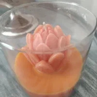 شمع زینتی ومعطر|صنایع دستی و سایر لوازم تزئینی|تهران, تهرانسر شرقی|دیوار