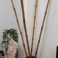 گلدان بامبو|گل مصنوعی|کرمانشاه, |دیوار