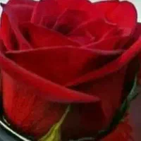 سرمایه گذار برای راه اندازی موبایل فروشی