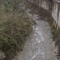 املاک-شهرک-تفکیکی-برلیان