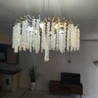 لوستر شاخه نبات