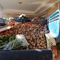 سیب زمینی همدان