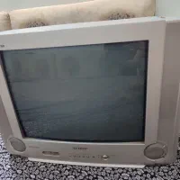 تلویزیون