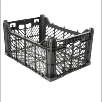 سبد میوه و تره بار