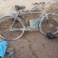 دوچرخه|دوچرخه، اسکیت، اسکوتر|بجنورد, |دیوار