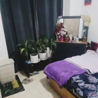 62 متری*تک خواب * بهترین طبقه * نوساز * قائمیه|اجارهٔ آپارتمان|اسلام‌شهر, شهرک قائمیه|دیوار