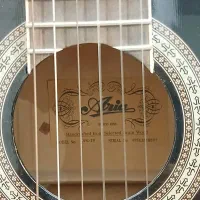 گیتار مدل آریا مدل آکا ۲۰|گیتار، بیس، امپلیفایر|تهران, افسریه جنوبی|دیوار