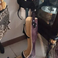 پروتز پا|آرایشی، بهداشتی، درمانی|شاهین‌شهر, مورچه خورت|دیوار