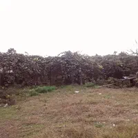 فروش زمین ویلایی درشهرحویق نزدیک به طرح ساحلی زمرد