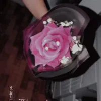 گل زیبا|گل و گیاه طبیعی|اردبیل, |دیوار