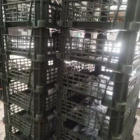 کار در شهرک صنعتی برازجان