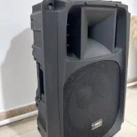 باند اکتیو۱۵ اینچ
