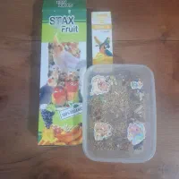 عروس هلندی|پرنده|سیاهکل, |دیوار